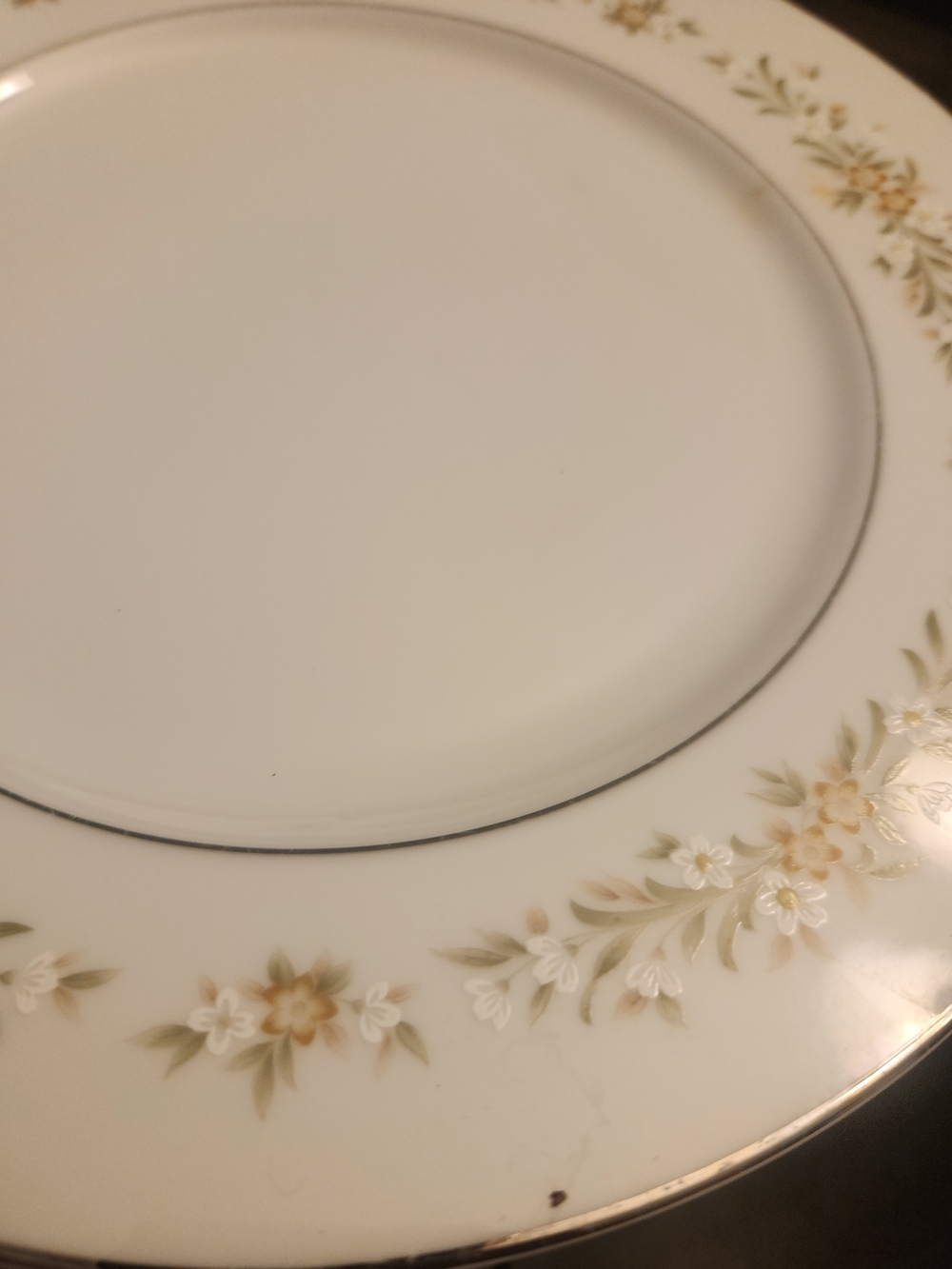 Vintage Fine China Mayfair Dinner Plate with Cream Floral Border and Gold Trim